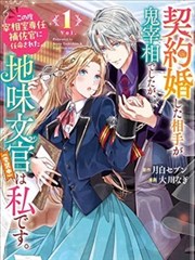 魔法少女 幻影之翼